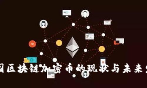 中国区块链加密币的现状与未来发展