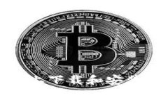 如何在安卓设备上下载和安装TP官方应用程序