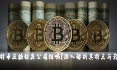 比特币区块链是公有链吗？深入解析其特点与影