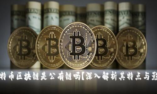 比特币区块链是公有链吗？深入解析其特点与影响